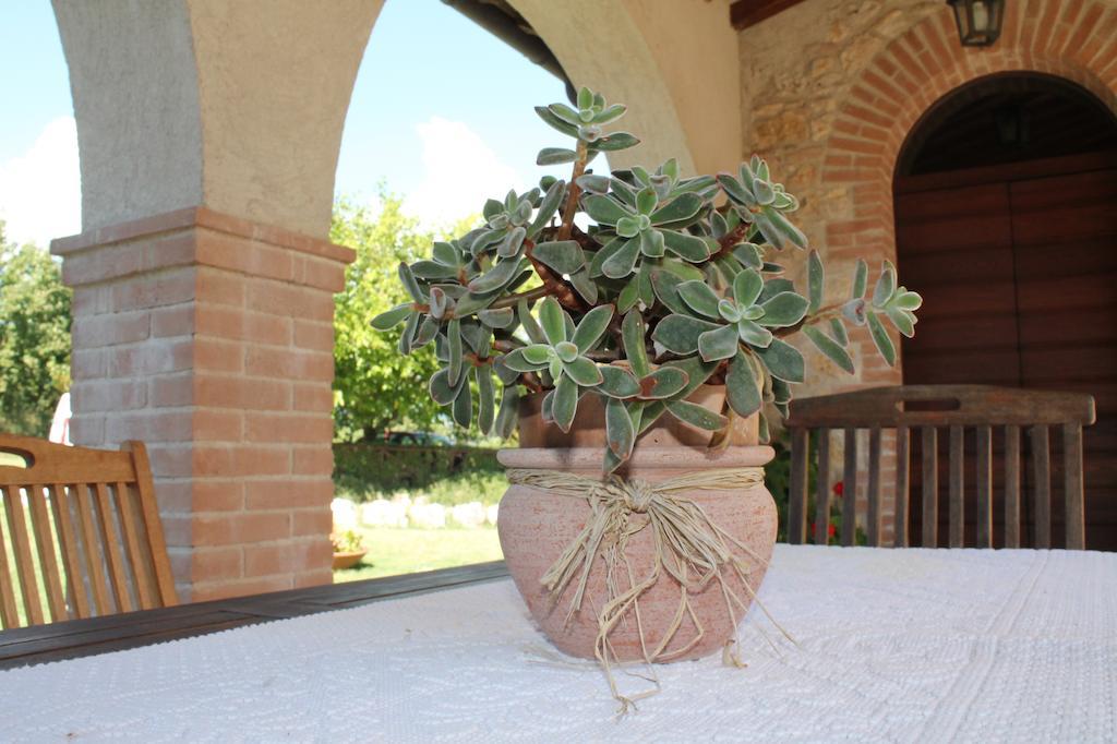 Agriturismo Poggio Della Rosa Amelia Exterior photo